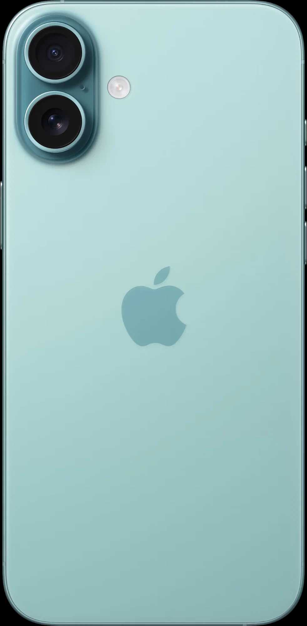 Смартфон iPhone 16 Plus 256GB Teal (green)