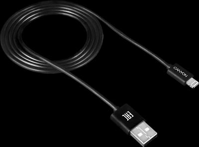 Quvvatlash kabeli Canyon Lighiting CFI-1 (qora)