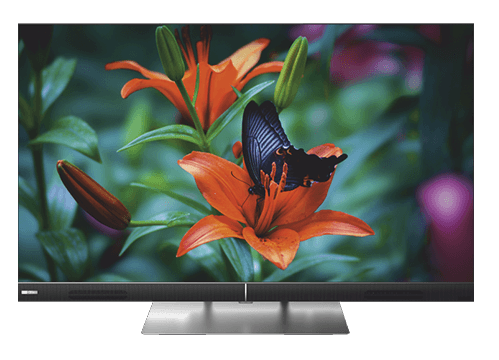 Телевизор Premier Smart  55PRM800UHD